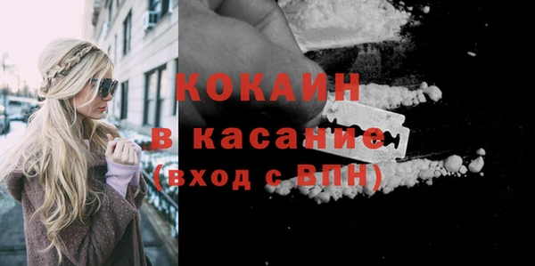 молекула духа Инсар