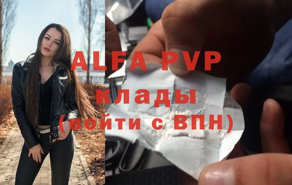 молекула духа Инсар
