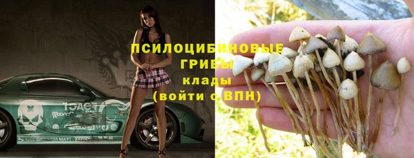 apvp Зерноград