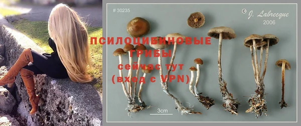 герыч Зеленокумск